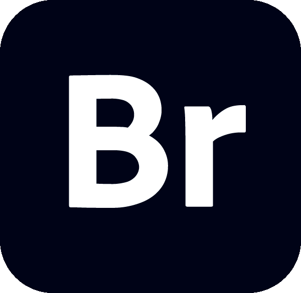 Adobe Bridge 2022 icon